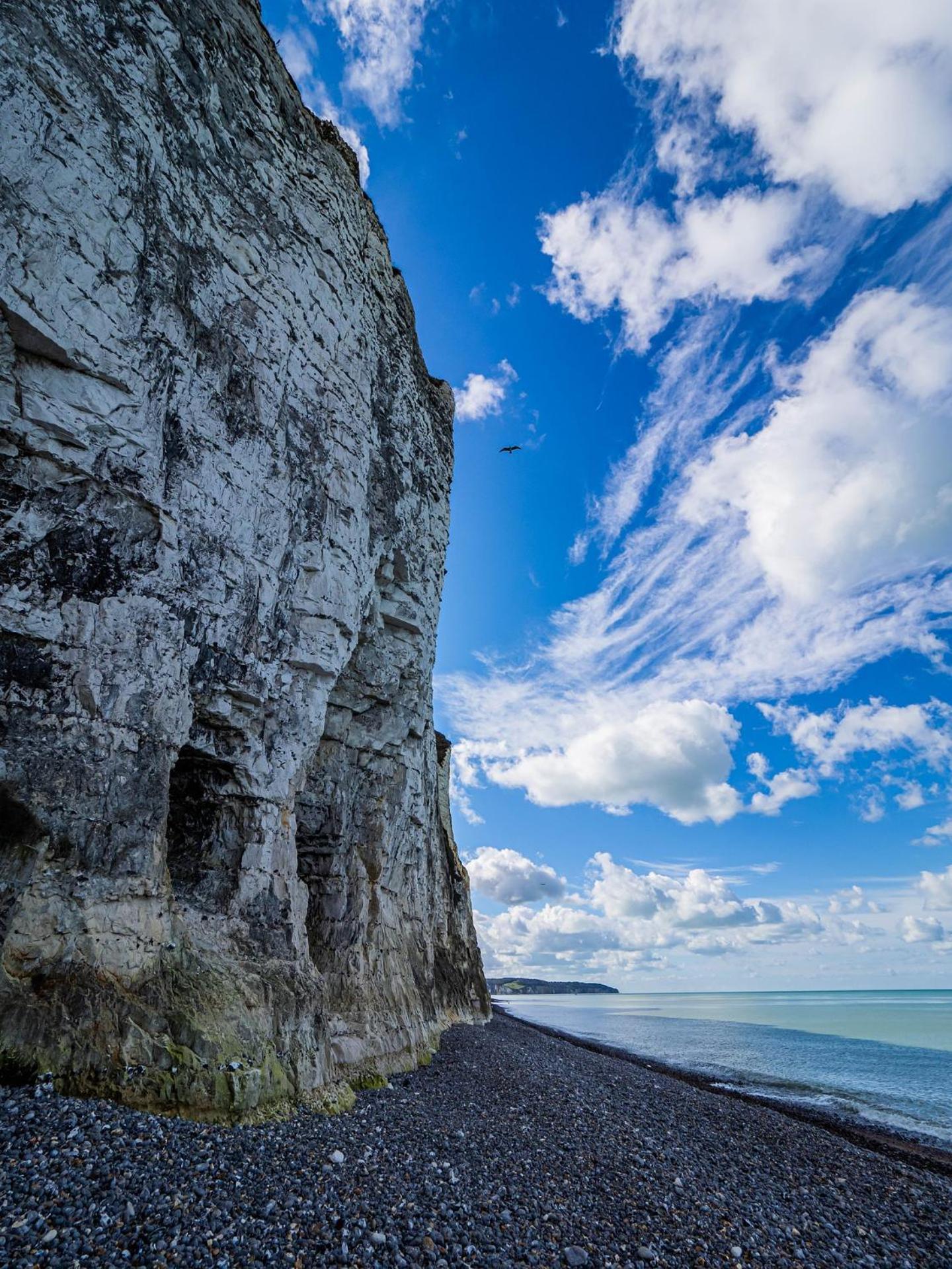 Le Nid Dieppois - Sur Les Quais De Dieppe, Entre Port & Plage Екстериор снимка
